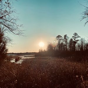 Meet your Posher, Mercedes